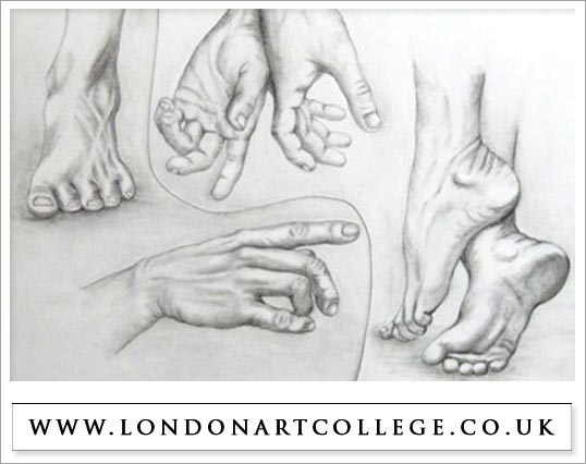 How to Draw Hands and Feet