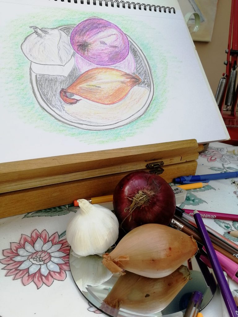 Onions Color Pencil Drawing Stock Illustration - Download Image Now -  Collection, Colors, Computer Graphic - iStock
