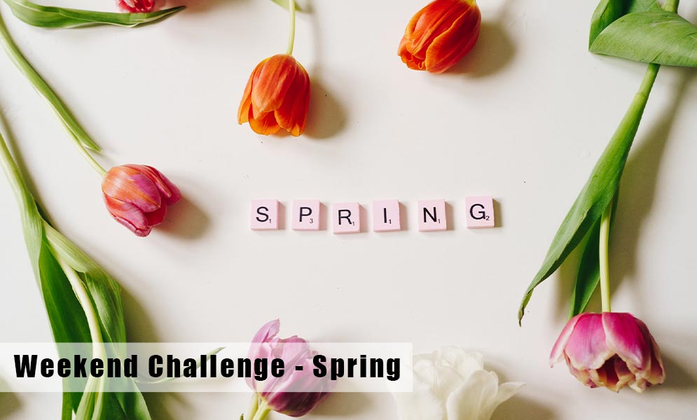 Weekend Art Challenge – Spring