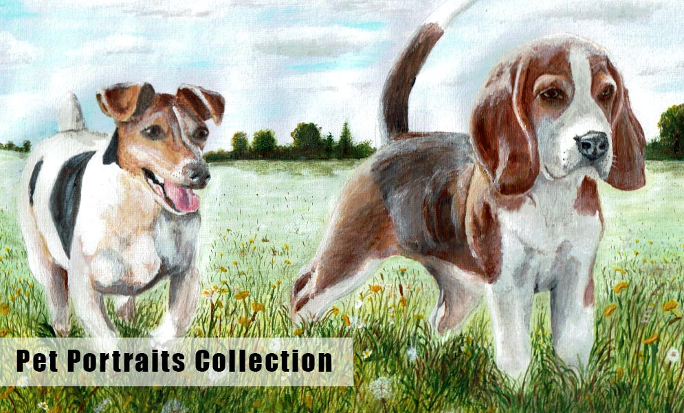 Pet Portraits Collection!