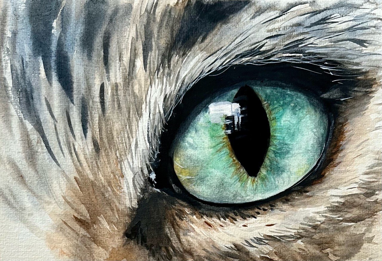 Weekend Art Challenge - Eyes Weekend Art Challenge - Eyes