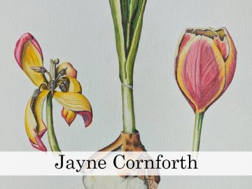 Jayne Cornforth