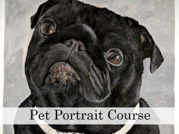 The Pet Portrait Diploma Course