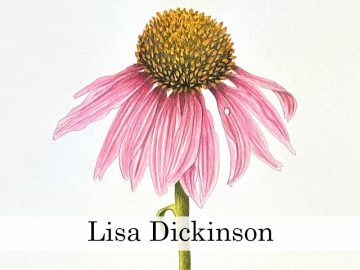 Lisa Dickinson