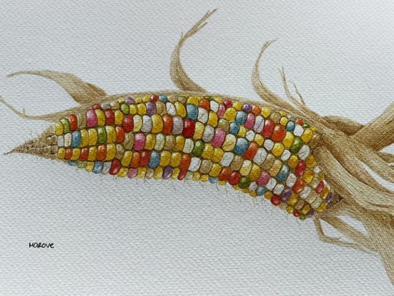 Botanical Coloured Pencil Diploma Student Spotlight: Mayte Rodríguez Velueta