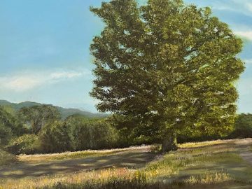 Susan Cardozo – Drawing and Painting Diploma Course