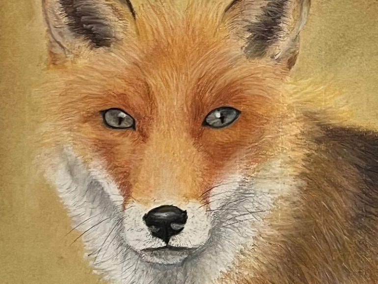 Pet Portrait Course – Natasha Giles