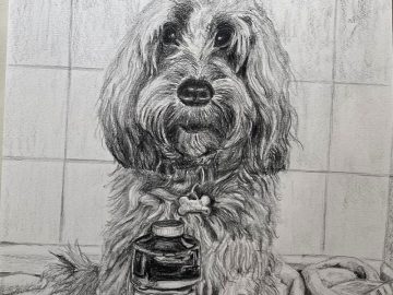 Pet Portraits Diploma Course – Amanda Taylor