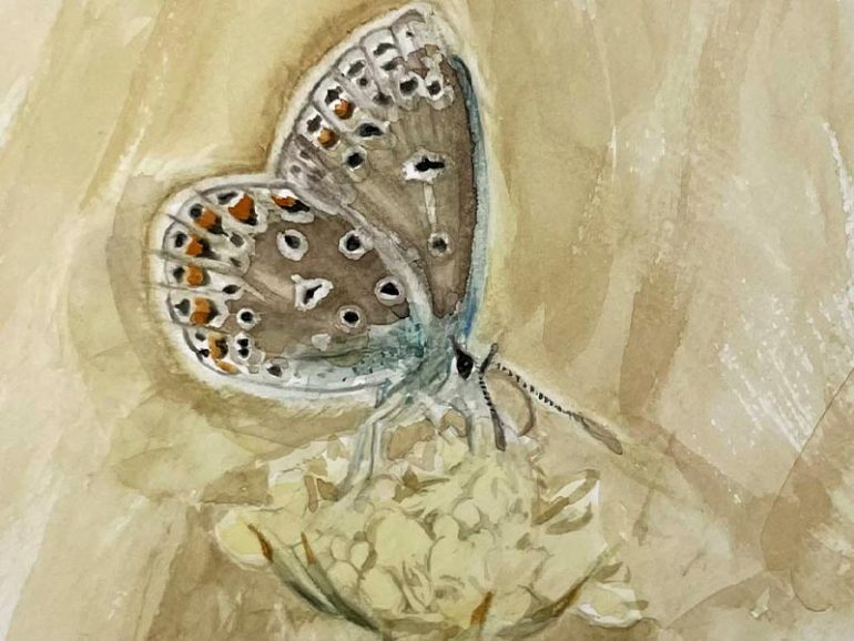 Finding Beauty in the Natural World