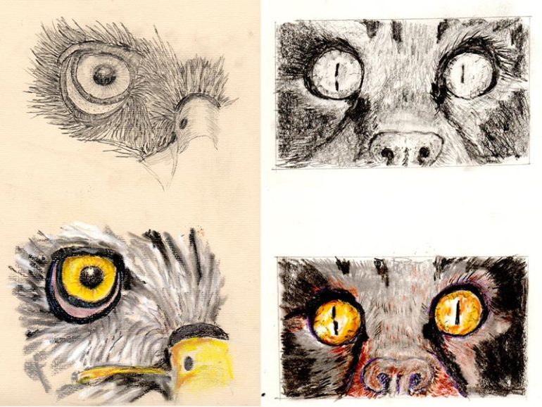Pet Portrait Diploma Student Spotlight: Helen Martin
