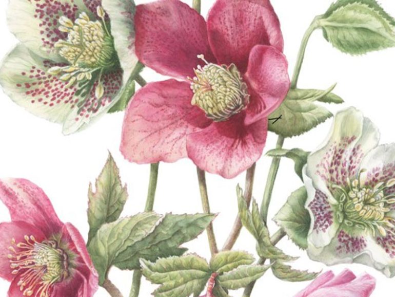 A Celebration of Flowers in Art