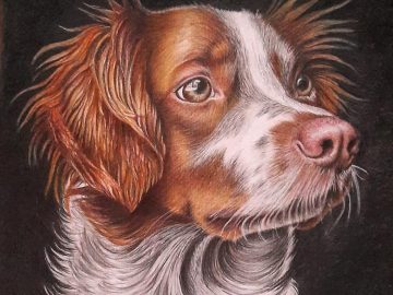 Pet Portraits Diploma: Two Beautiful Dogs from Tina Carroll
