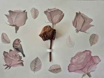 A Beautiful Farewell from Nurgül Ozkeser
