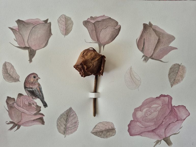 A Beautiful Farewell from Nurgül Ozkeser